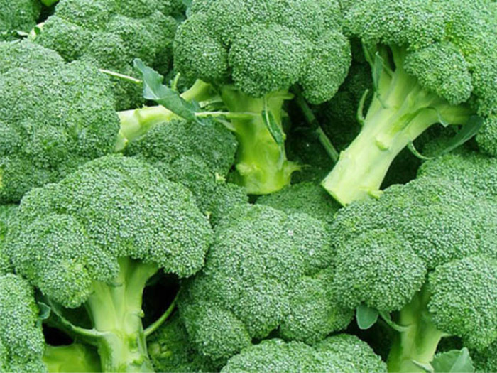 Manfaat Sayur Brokoli